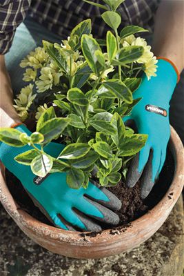 Guanti da giardino per trapianto GARDENA 208-20