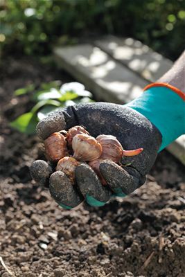 Guanti da giardino per trapianto GARDENA 208-20