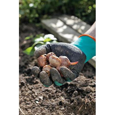 Guanti da giardino per trapianto GARDENA 207-20