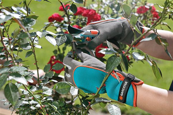 Guanti per arbusti GARDENA 218-20